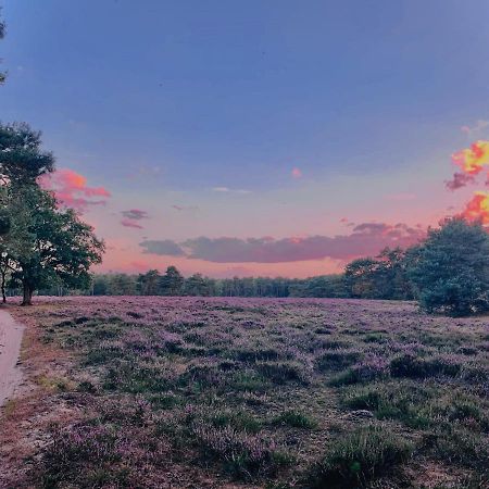 Sluwe Vos: Ontspannen In Het Bos! أوتيرلو المظهر الخارجي الصورة