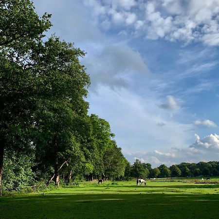 Sluwe Vos: Ontspannen In Het Bos! أوتيرلو المظهر الخارجي الصورة