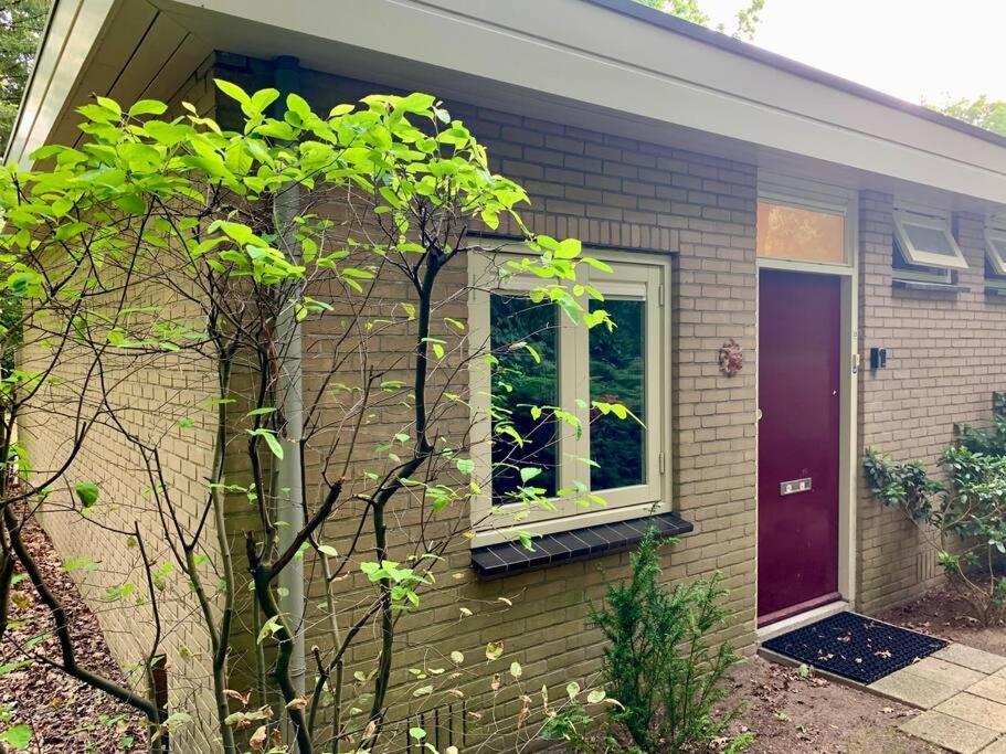 Sluwe Vos: Ontspannen In Het Bos! أوتيرلو المظهر الخارجي الصورة