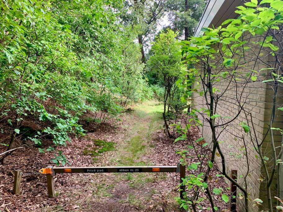 Sluwe Vos: Ontspannen In Het Bos! أوتيرلو المظهر الخارجي الصورة