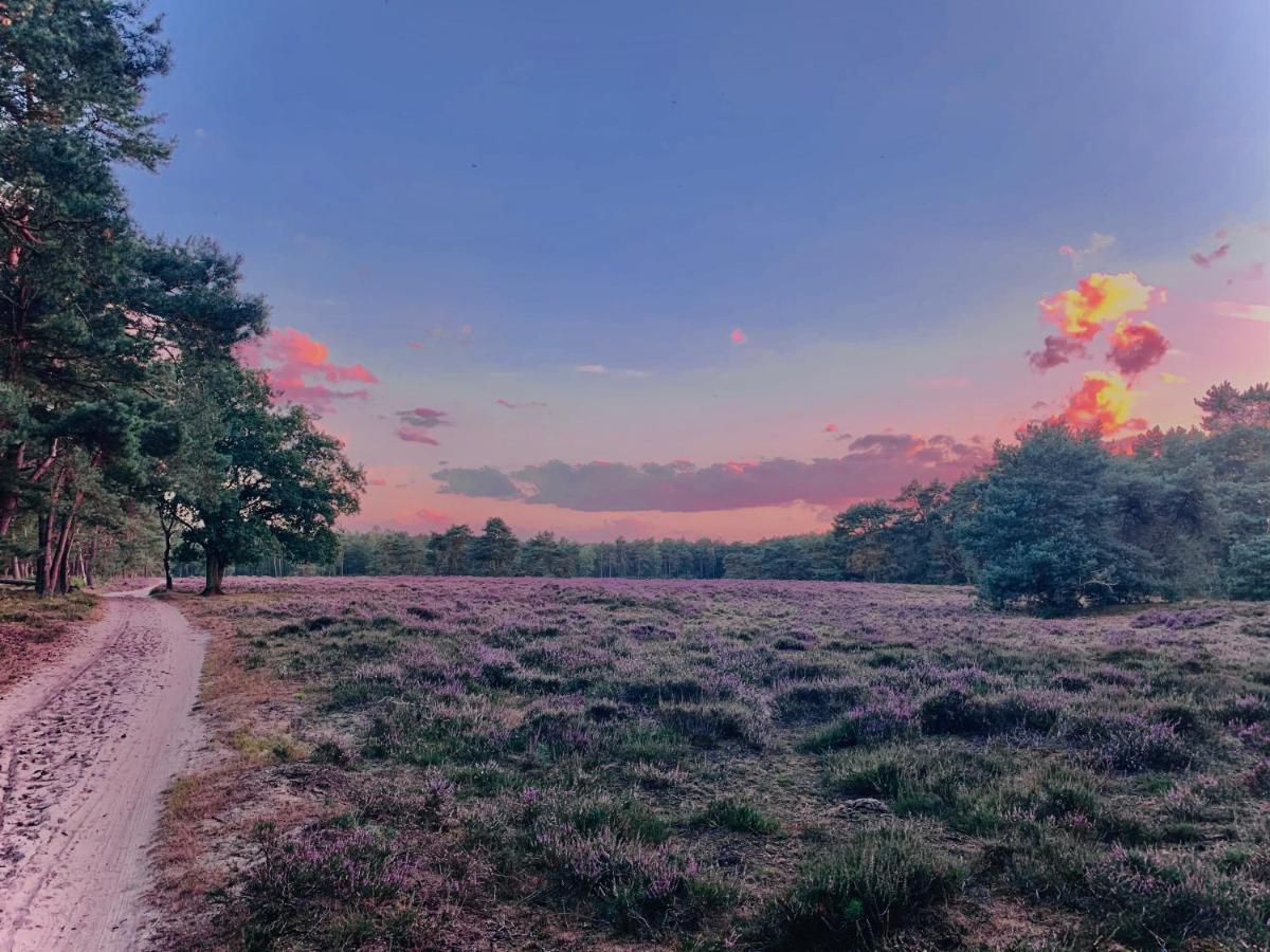 Sluwe Vos: Ontspannen In Het Bos! أوتيرلو المظهر الخارجي الصورة