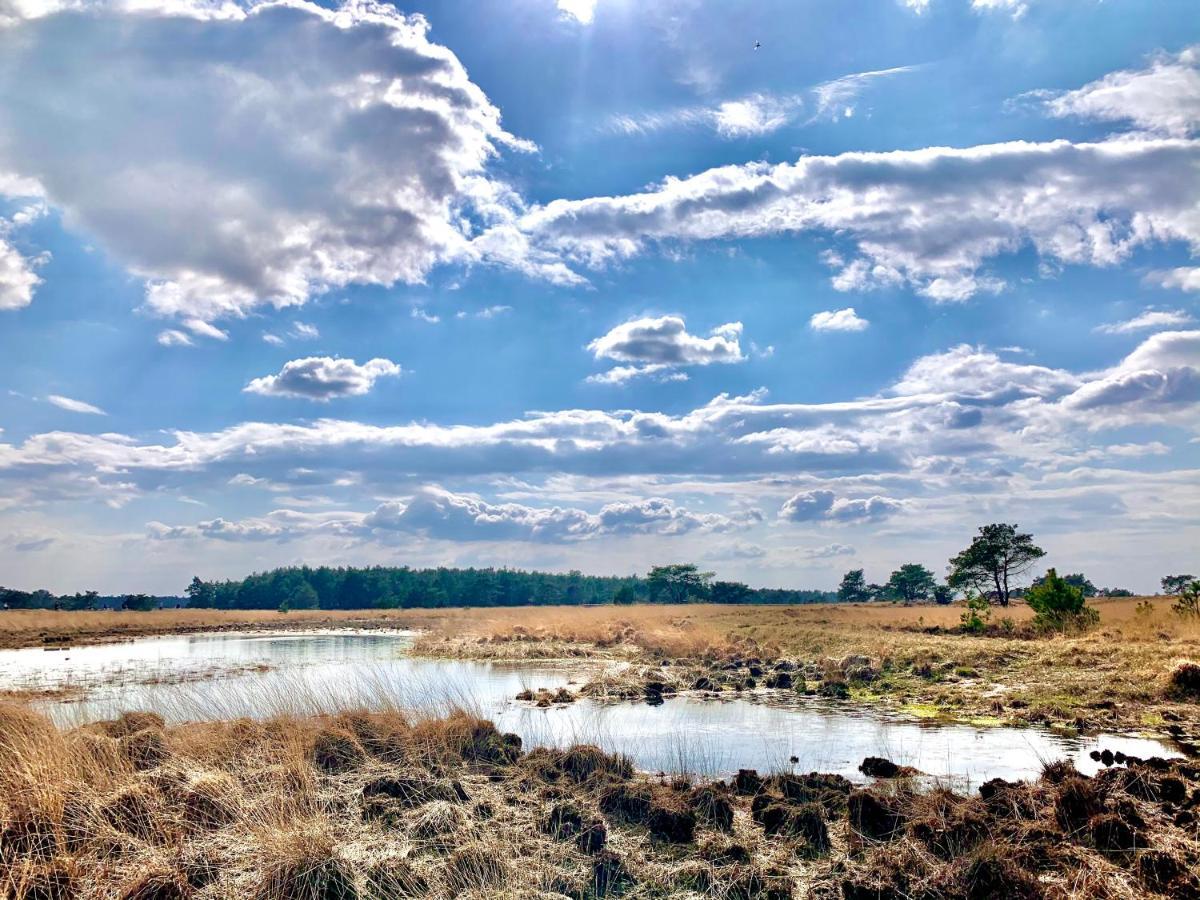 Sluwe Vos: Ontspannen In Het Bos! أوتيرلو المظهر الخارجي الصورة